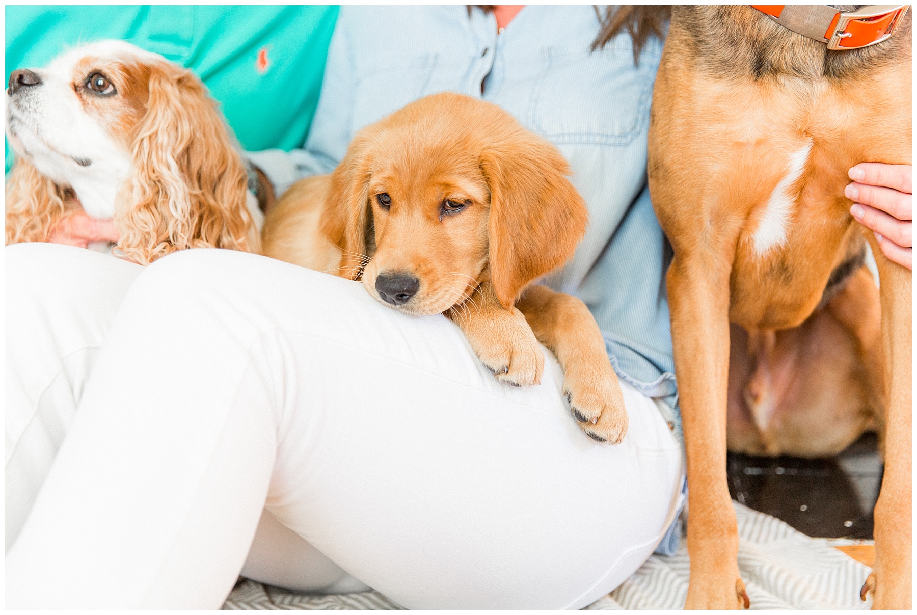 lifestyle family session-wilson nc-tiffany l johnson photography_0009.jpg