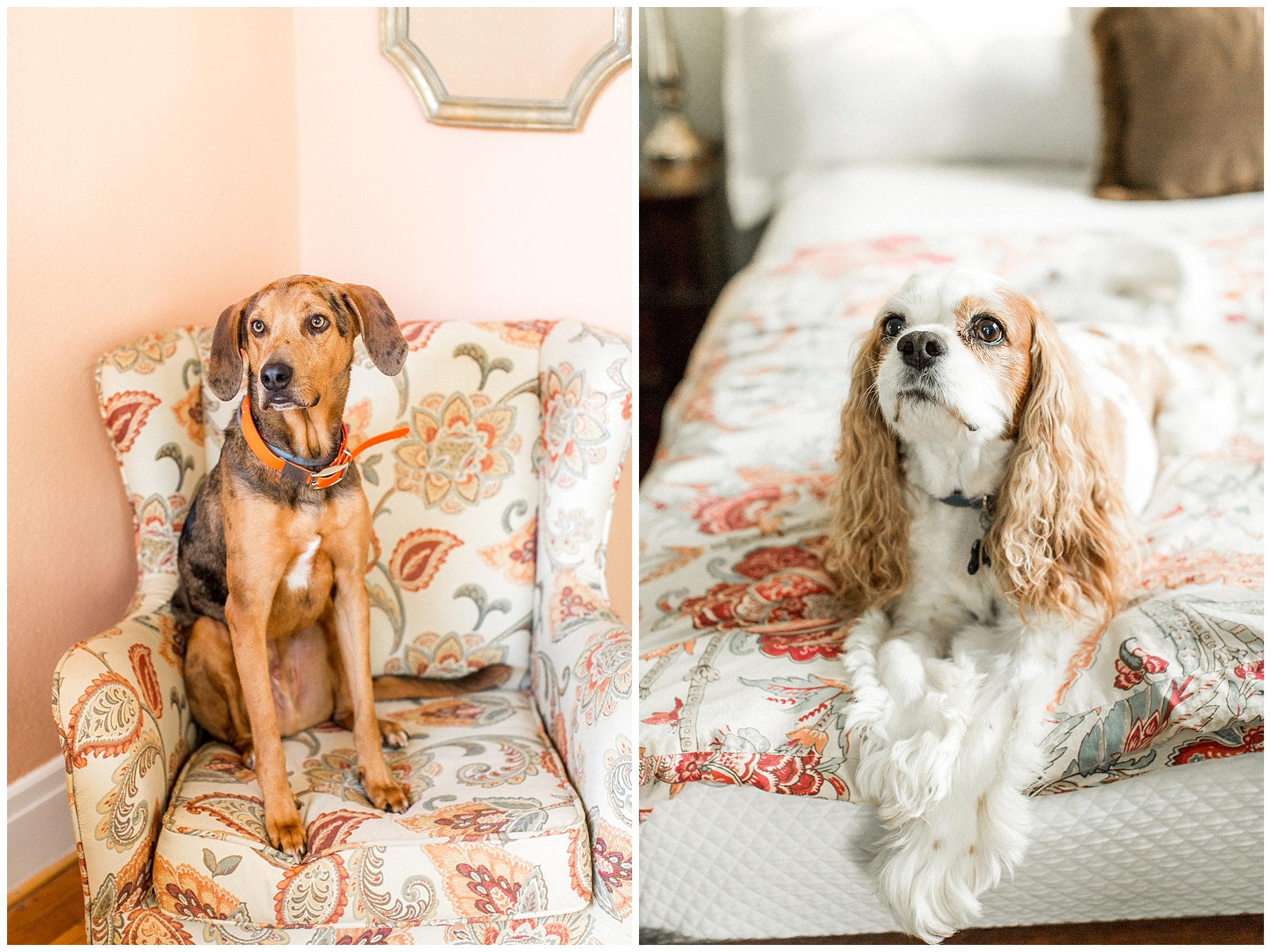 lifestyle family session-wilson nc-tiffany l johnson photography_0010.jpg