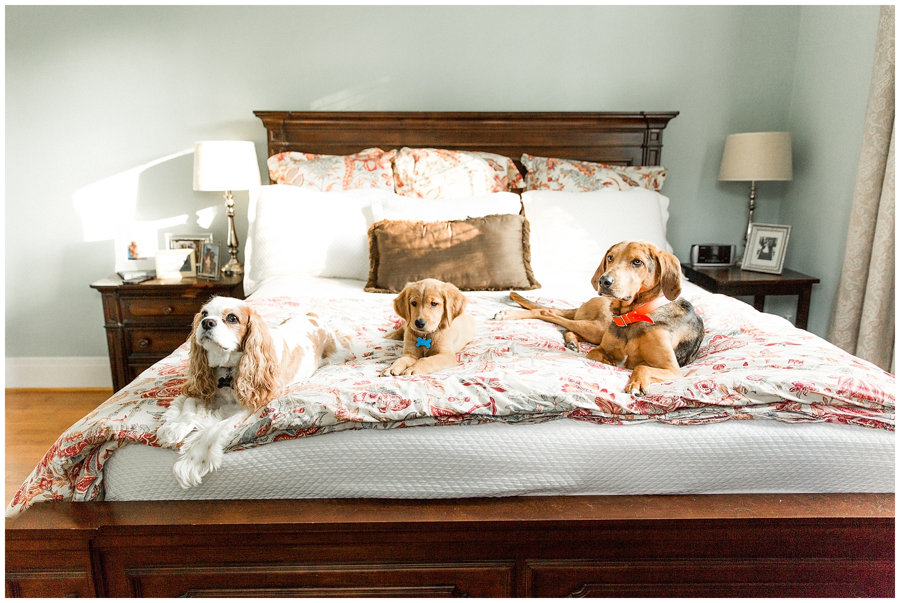 lifestyle family session-wilson nc-tiffany l johnson photography_0014.jpg