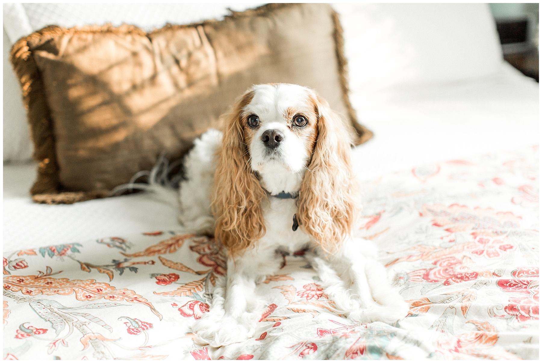 lifestyle family session-wilson nc-tiffany l johnson photography_0015.jpg