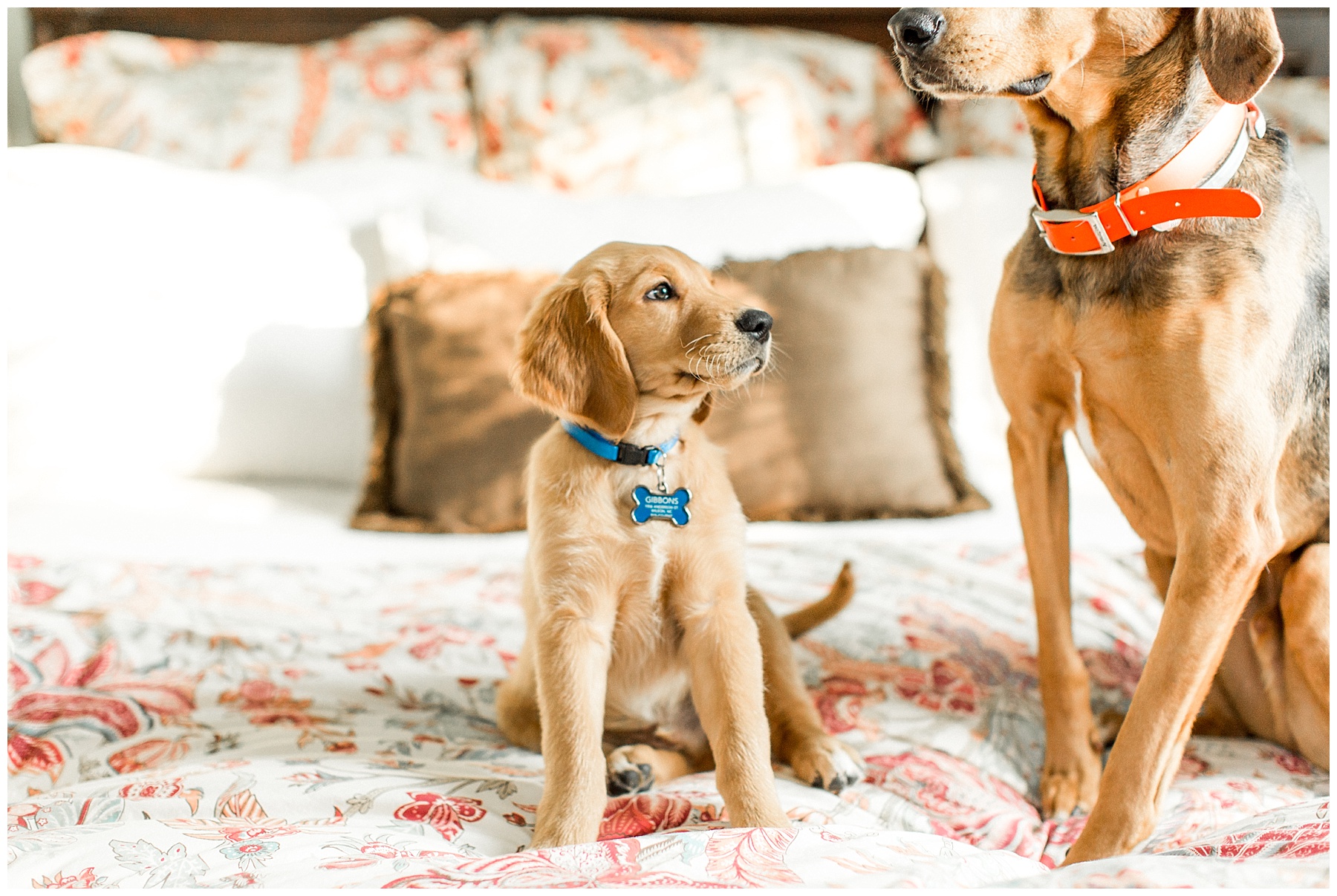 lifestyle family session-wilson nc-tiffany l johnson photography_0017.jpg