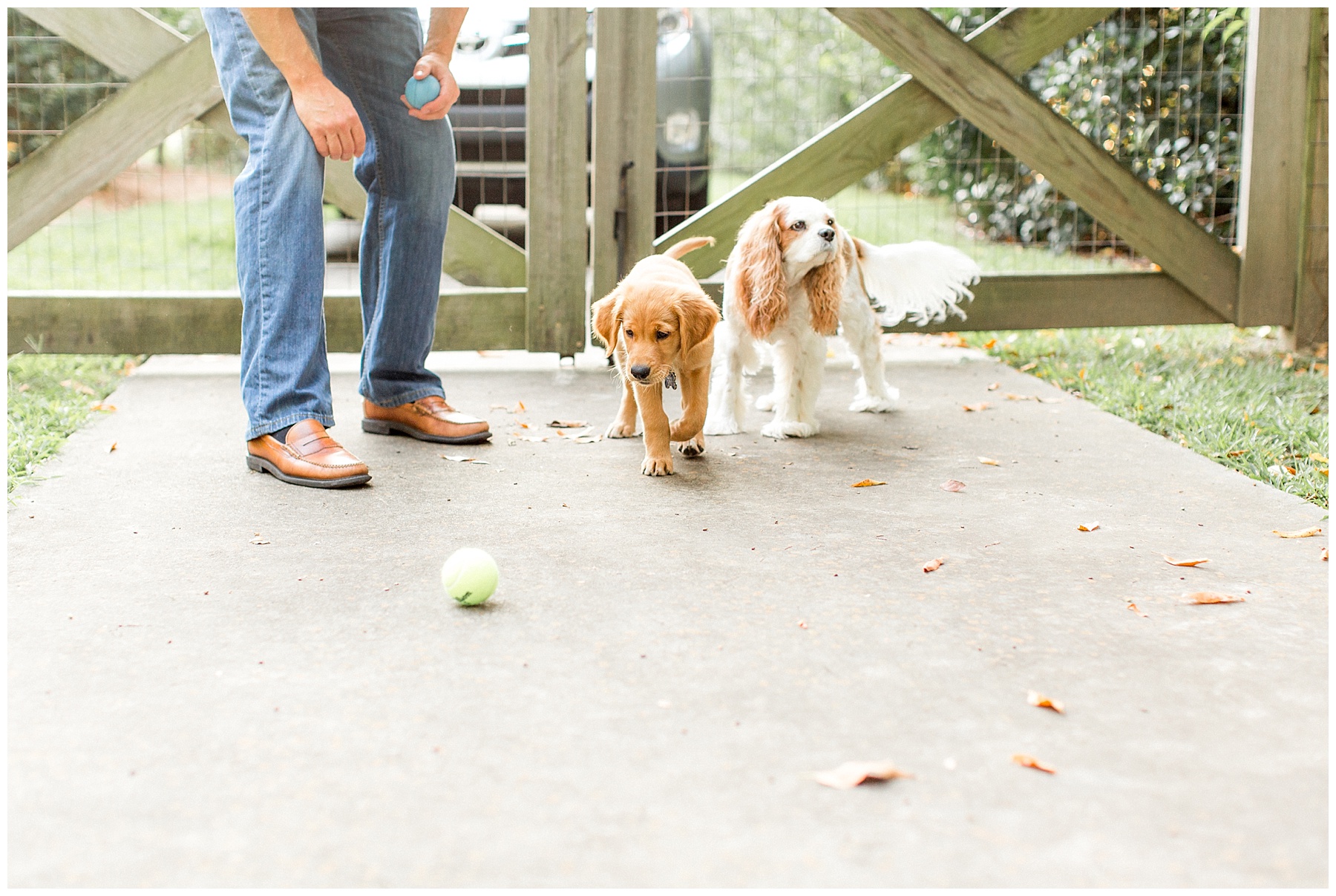 lifestyle family session-wilson nc-tiffany l johnson photography_0024.jpg
