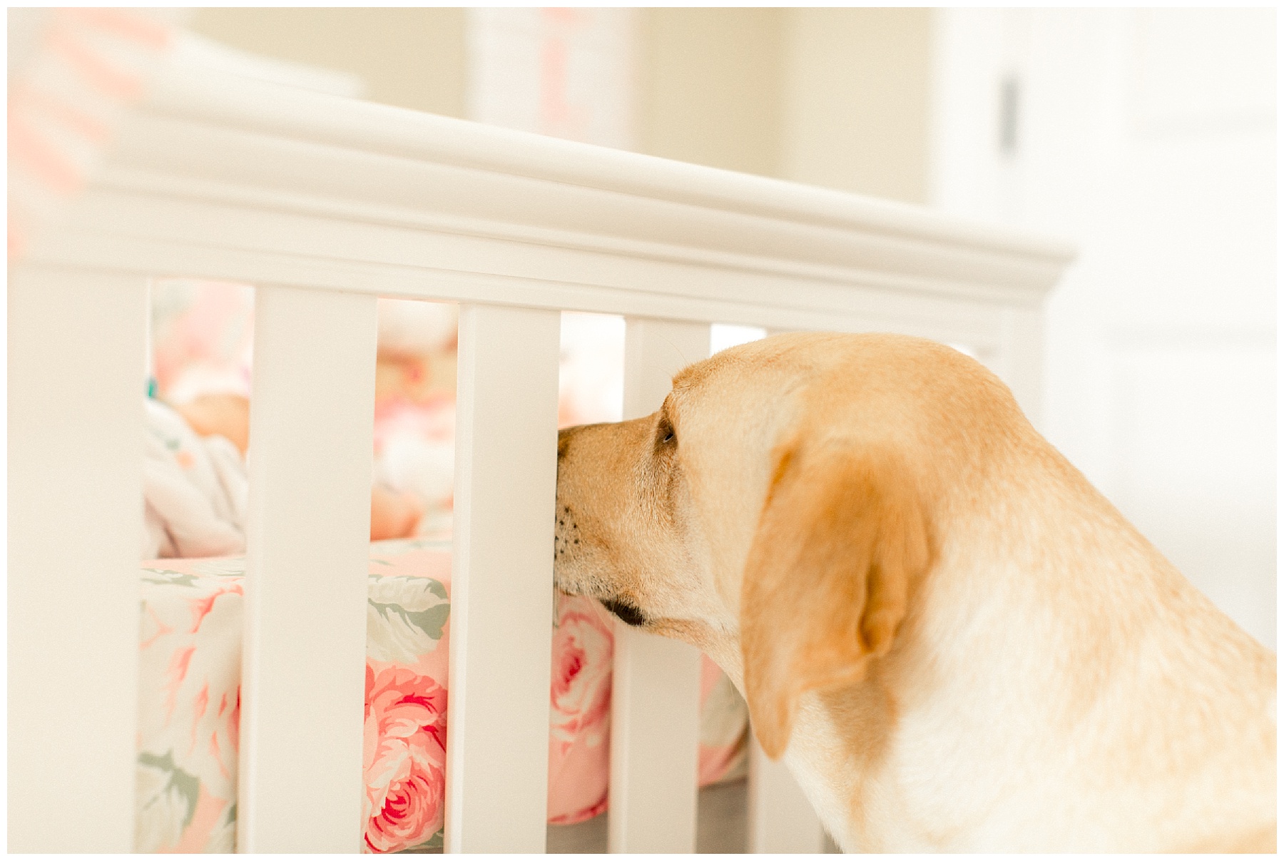 lifestyle newborn session-wilson nc-tiffany l johnson photography_0018.jpg