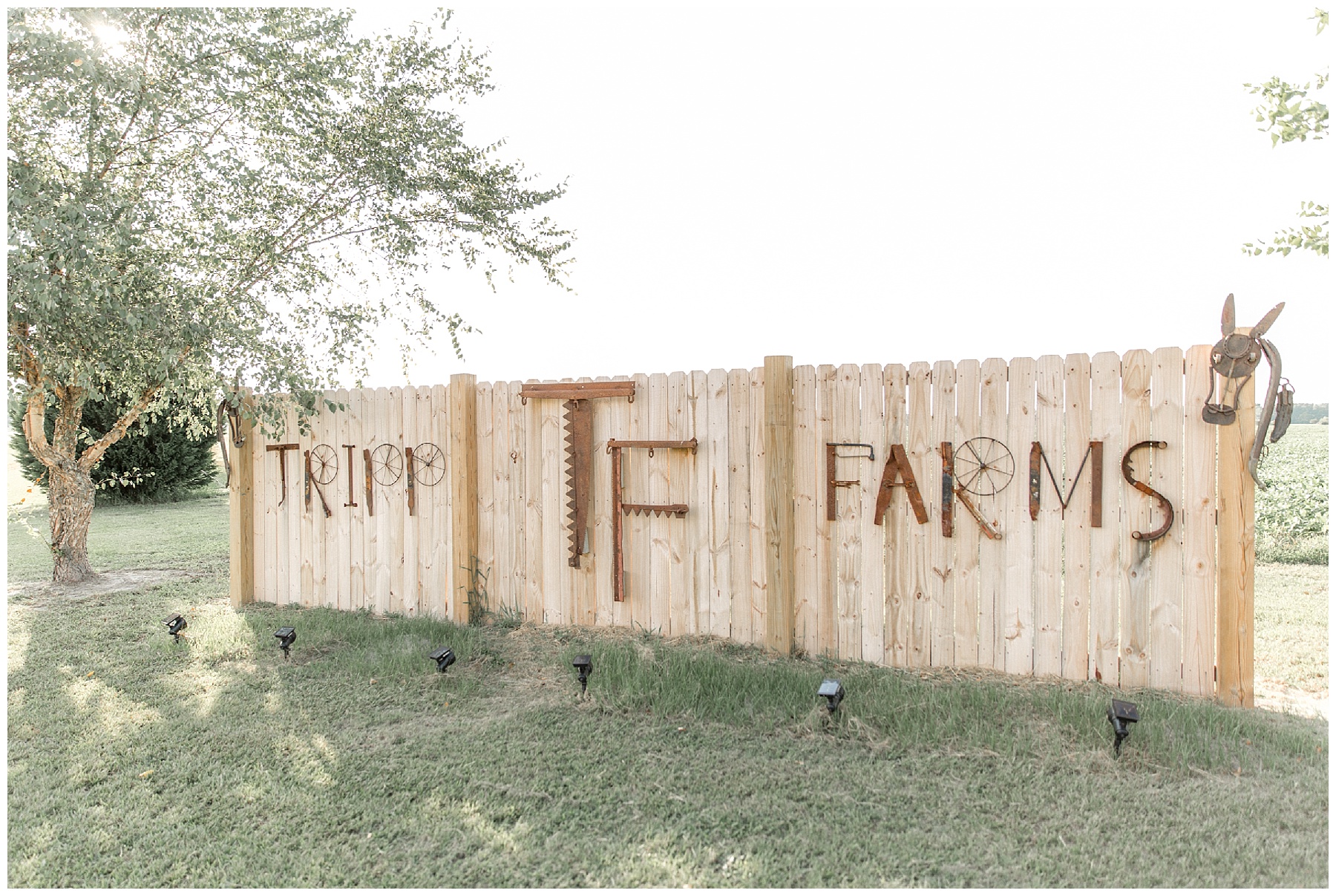 tripp farms wedding day-greenville nc-tiffany l johnson photography_0061.jpg