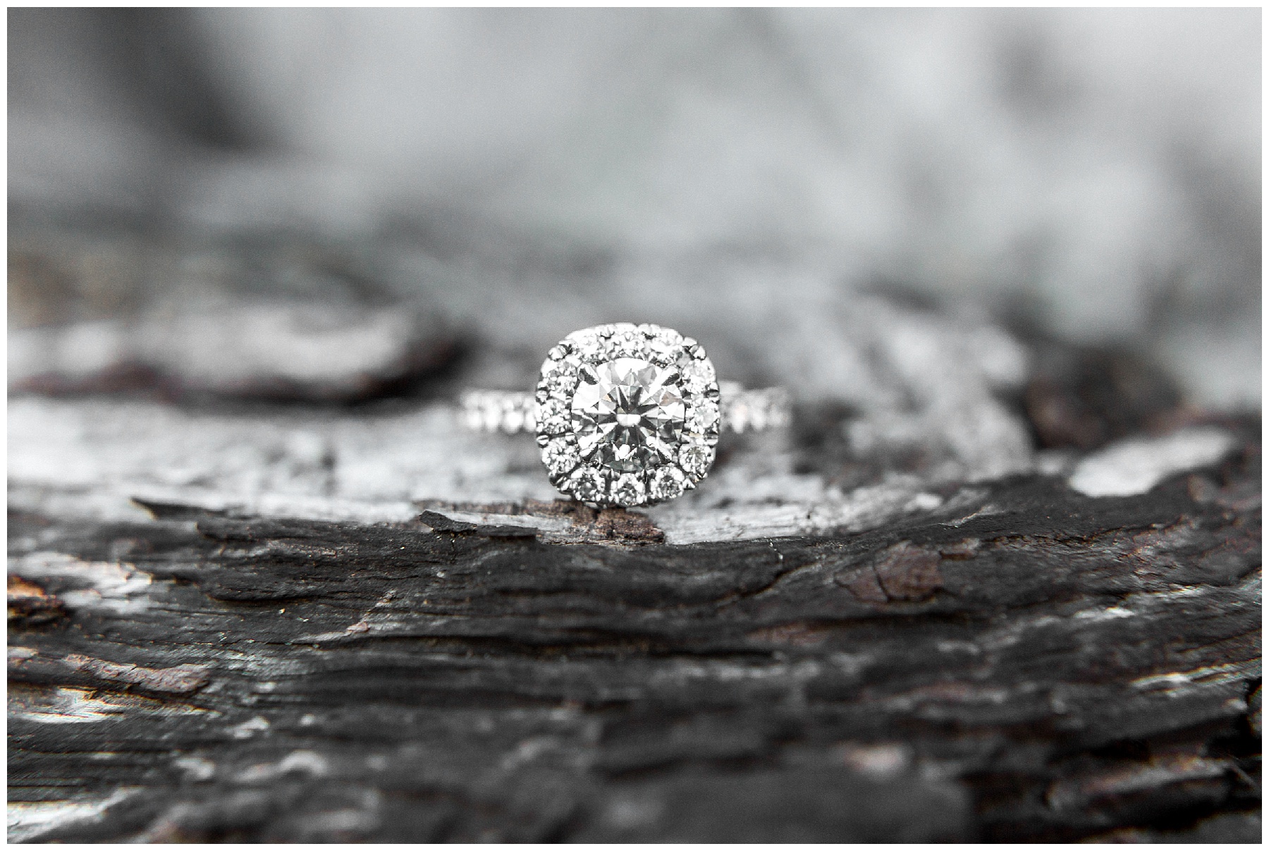 raleigh engagement session-dover farm-tiffany l johnson_0008.jpg raleigh engagement session-dover farm-tiffany l johnson_0008.jpg