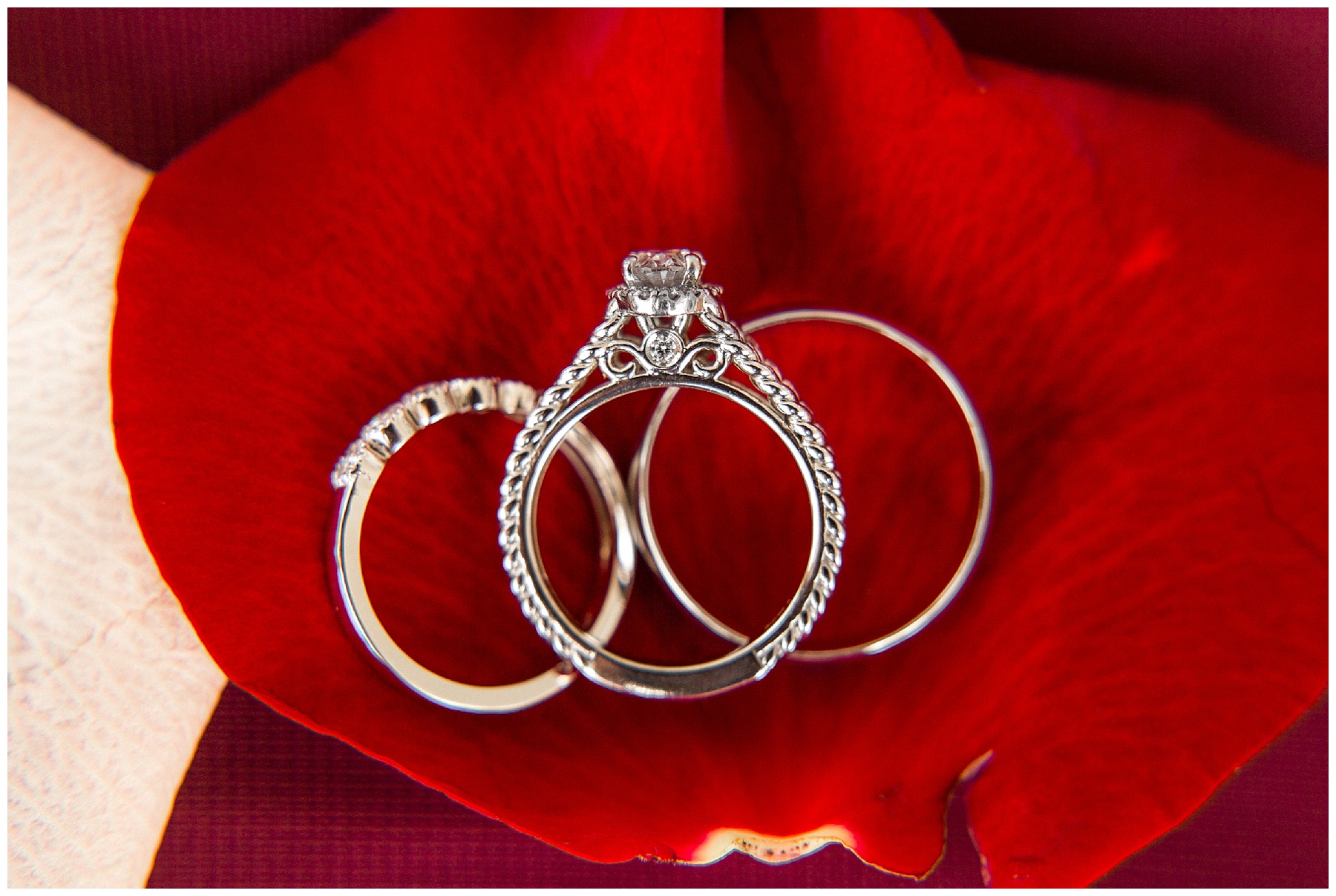 Wilson nc wedding photography - tiffany l johnson photography_0011.jpg Wilson nc wedding photography - tiffany l johnson photography_0011.jpg