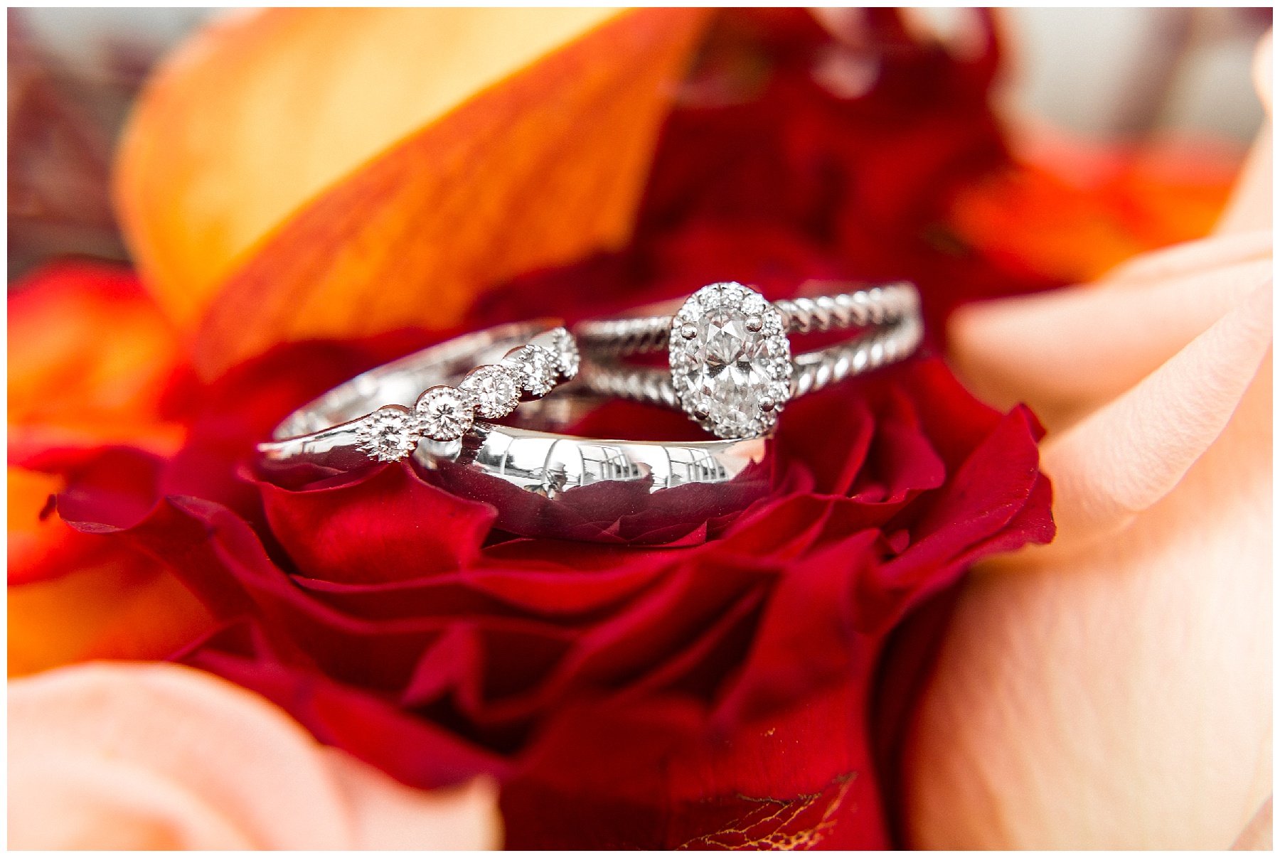 Wilson nc wedding photography - tiffany l johnson photography_0013.jpg Wilson nc wedding photography - tiffany l johnson photography_0013.jpg