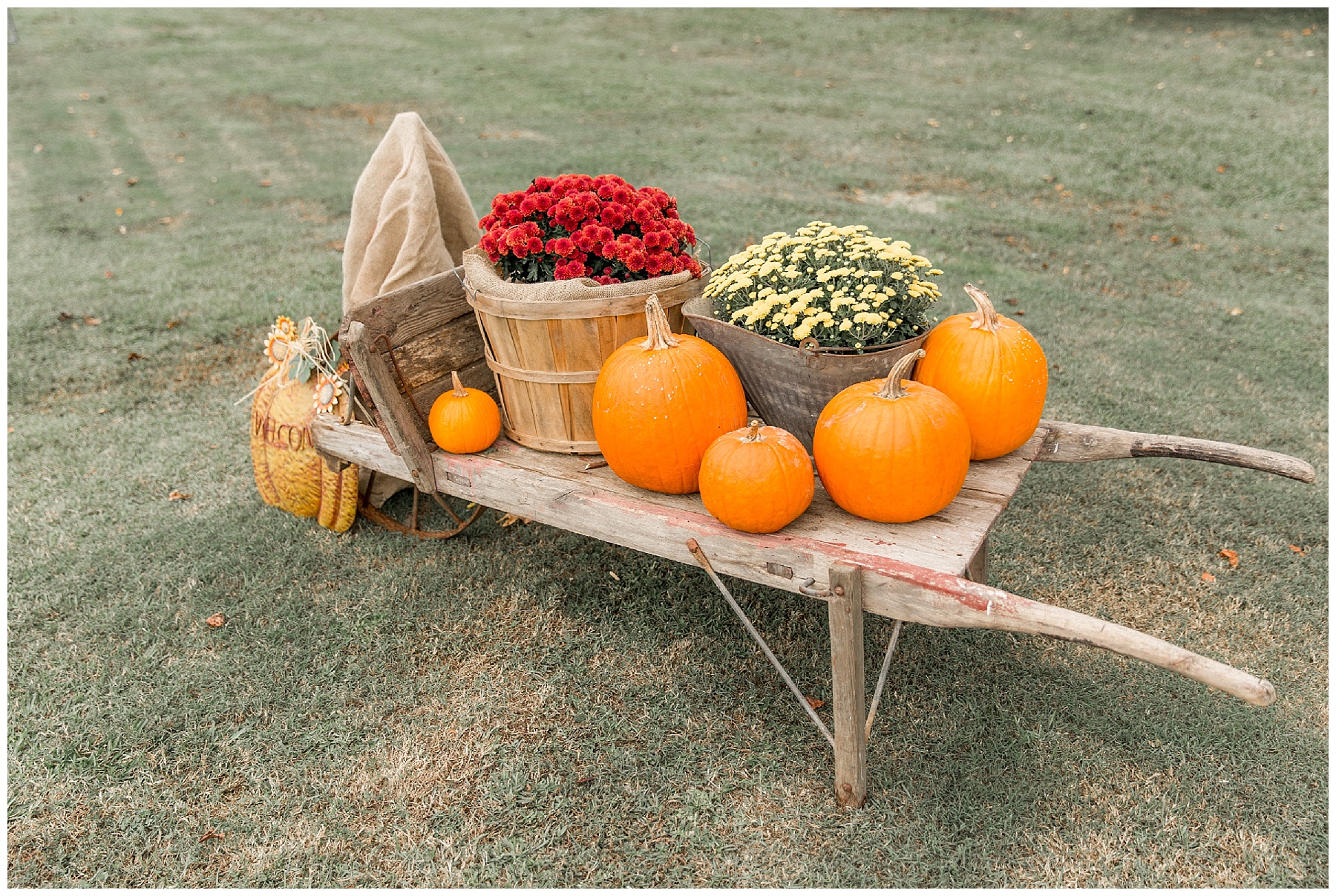Wilson nc wedding photography - tiffany l johnson photography_0134.jpg Wilson nc wedding photography - tiffany l johnson photography_0134.jpg