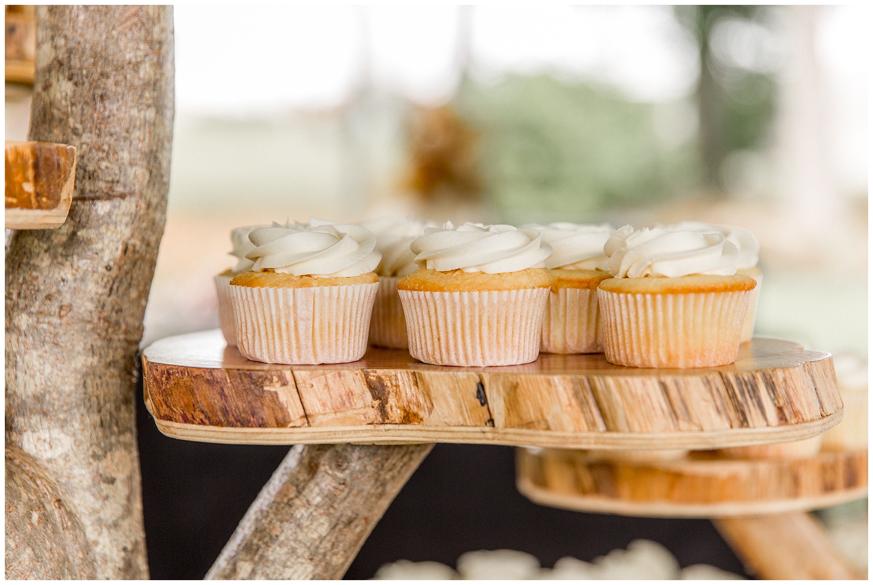 Wilson nc wedding photography - tiffany l johnson photography_0135.jpg Wilson nc wedding photography - tiffany l johnson photography_0135.jpg