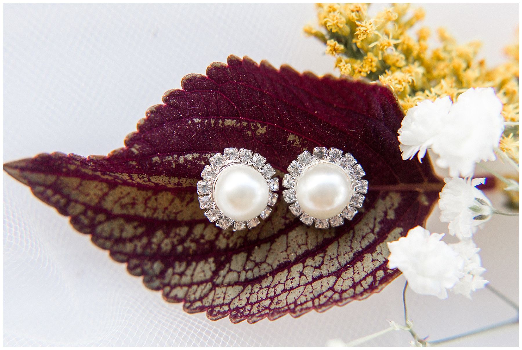 farm wedding-goldsboro nc wedding-tiffany l johnson_0012.jpg farm wedding-goldsboro nc wedding-tiffany l johnson_0012.jpg