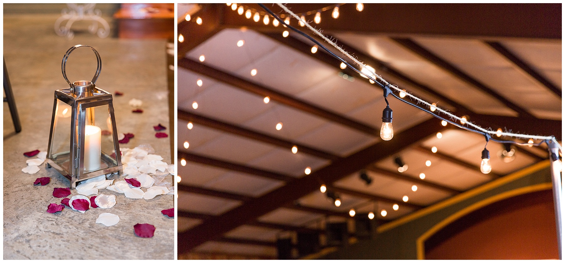 farm wedding-goldsboro nc wedding-tiffany l johnson_0066.jpg farm wedding-goldsboro nc wedding-tiffany l johnson_0066.jpg