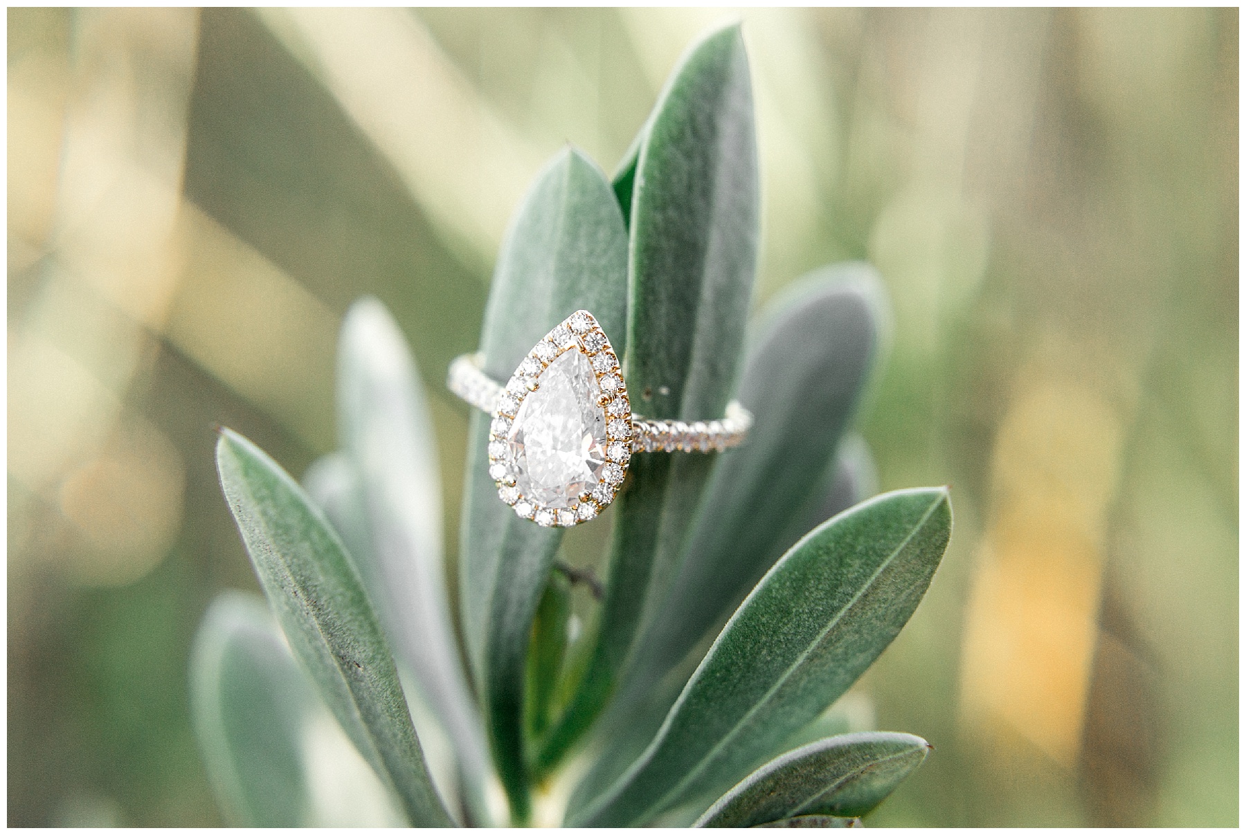 fort fisher engagement session - wilmington nc engagement session - tiffany l johnson_0002.jpg fort fisher engagement session - wilmington nc engagement session - tiffany l johnson_0002.jpg