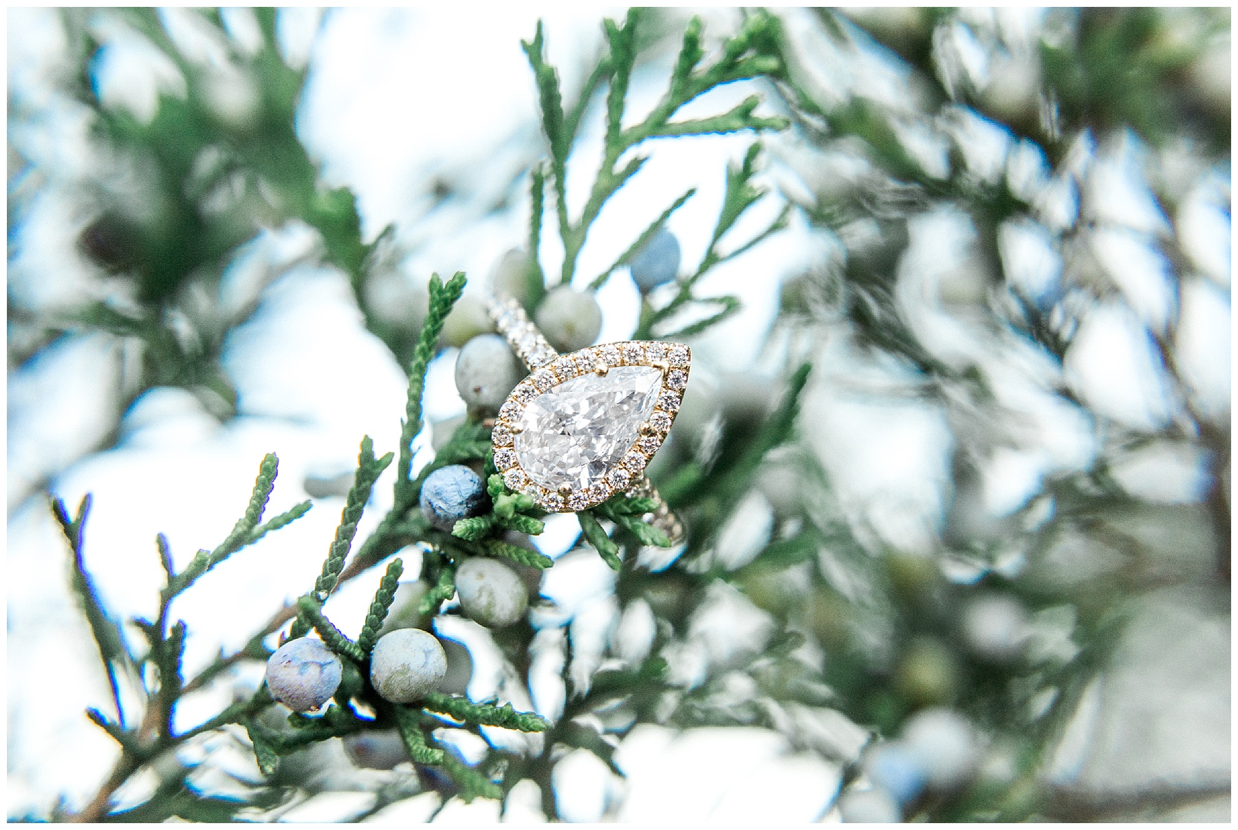 fort fisher engagement session - wilmington nc engagement session - tiffany l johnson_0022.jpg fort fisher engagement session - wilmington nc engagement session - tiffany l johnson_0022.jpg