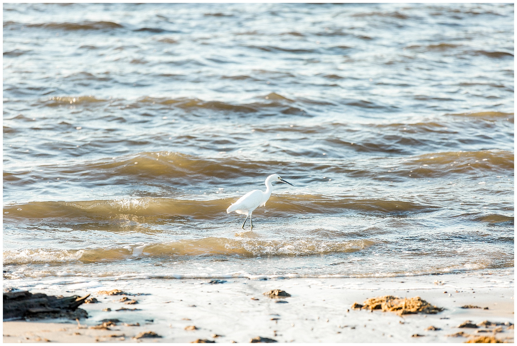 fort fisher engagement session - wilmington nc engagement session - tiffany l johnson_0050.jpg fort fisher engagement session - wilmington nc engagement session - tiffany l johnson_0050.jpg