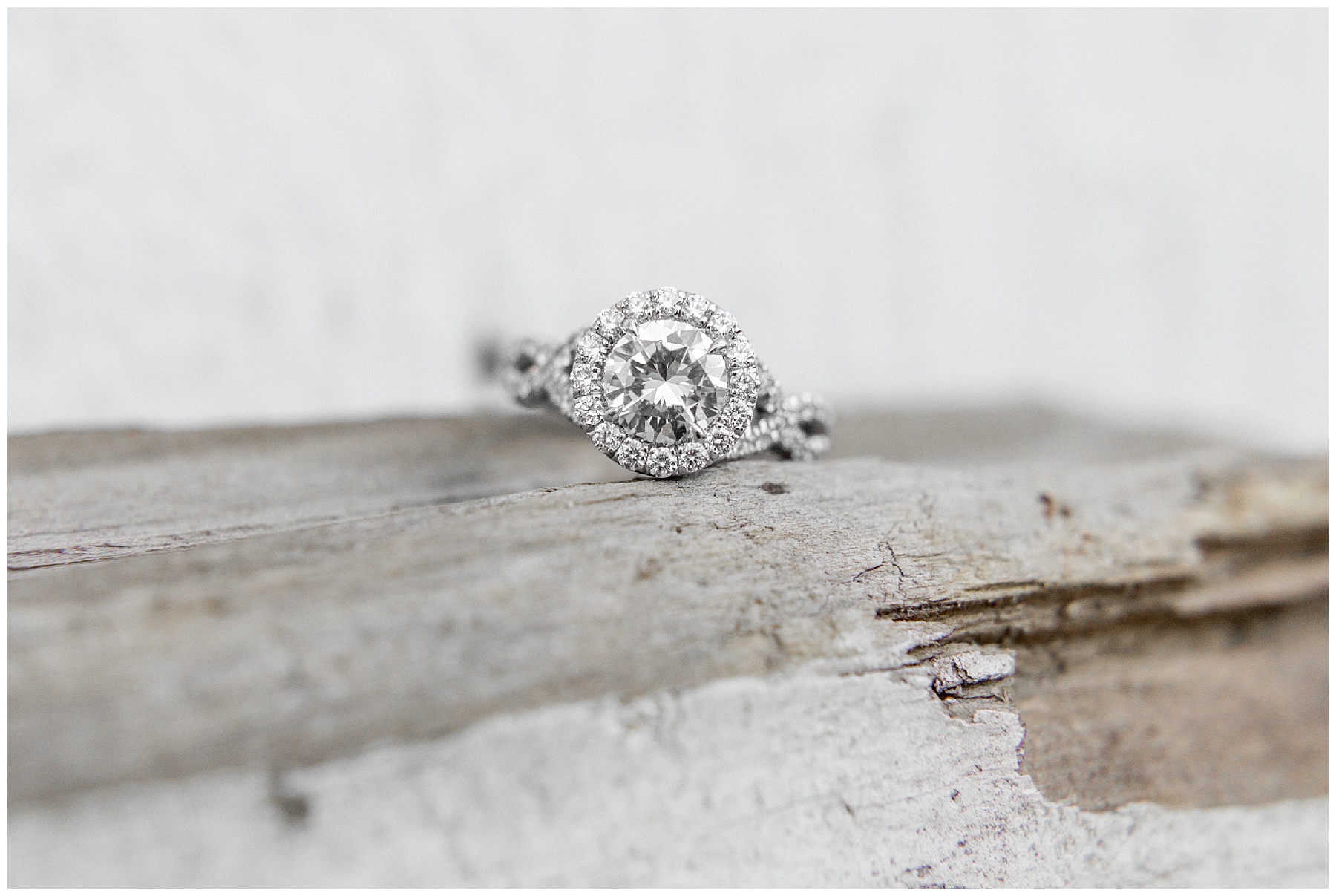 historic oak engagement session raleigh nc-tiffany l johnson photography_0014.jpg historic oak engagement session raleigh nc-tiffany l johnson photography_0014.jpg