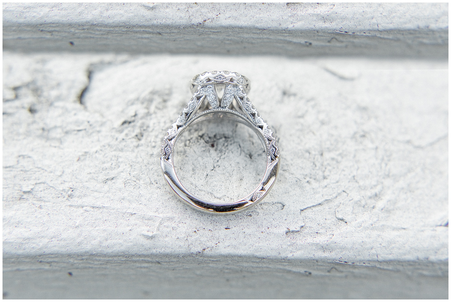 historic oak engagement session raleigh nc-tiffany l johnson photography_0018.jpg historic oak engagement session raleigh nc-tiffany l johnson photography_0018.jpg