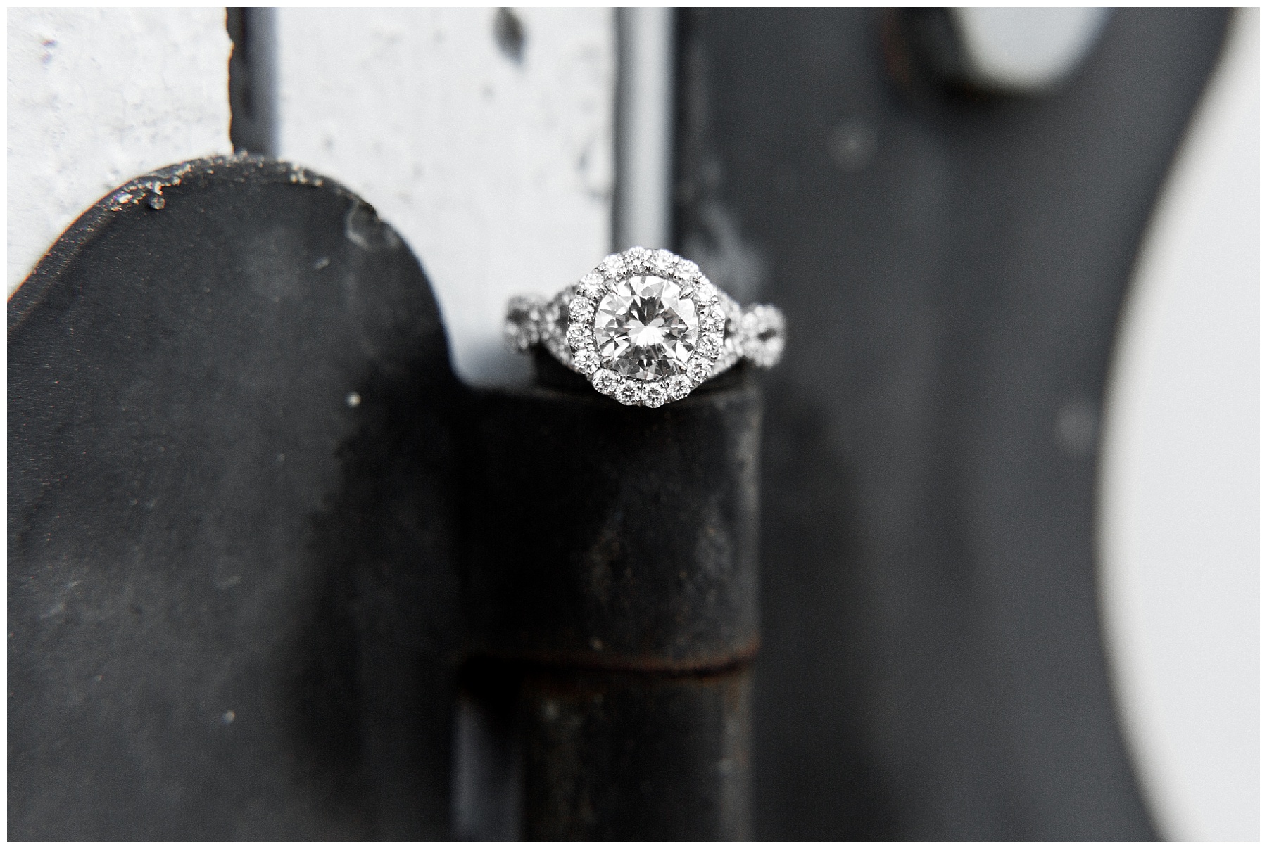 historic oak engagement session raleigh nc-tiffany l johnson photography_0026.jpg historic oak engagement session raleigh nc-tiffany l johnson photography_0026.jpg