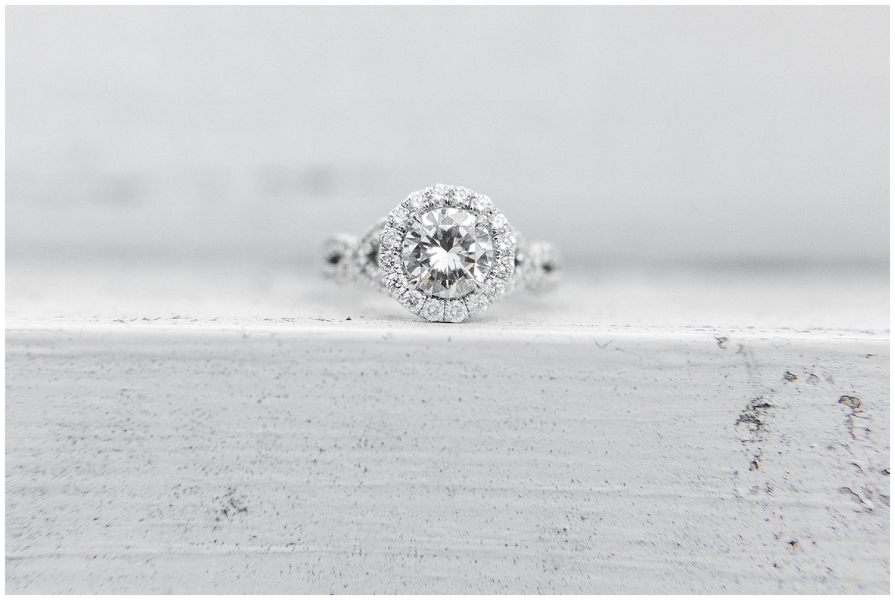 historic oak engagement session raleigh nc-tiffany l johnson photography_0060.jpg historic oak engagement session raleigh nc-tiffany l johnson photography_0060.jpg