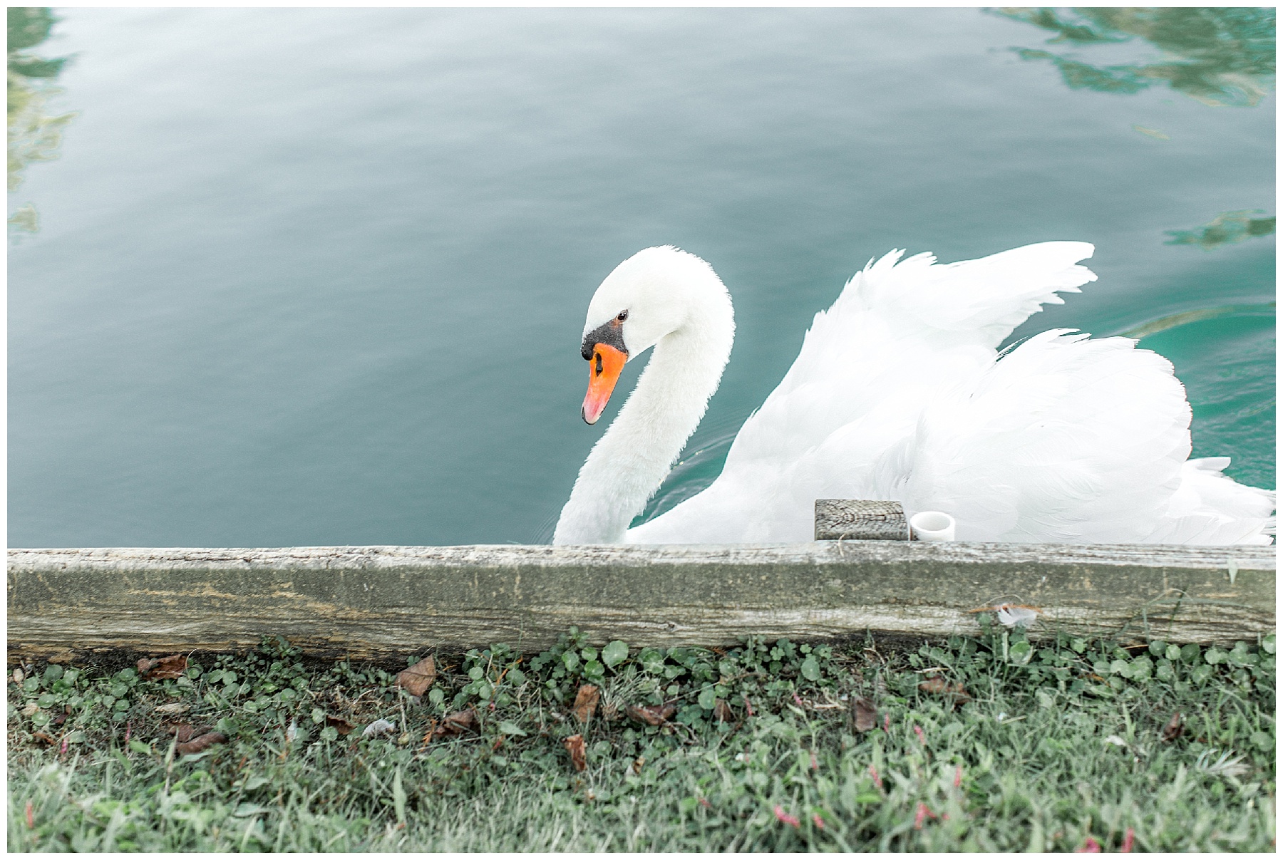 rose hill plantation bridal portraits-nashville nc bridal portraits-nc wedding photographer-tiffany l johnson_0049.jpg rose hill plantation bridal portraits-nashville nc bridal portraits-nc wedding photographer-tiffany l johnson_0049.jpg