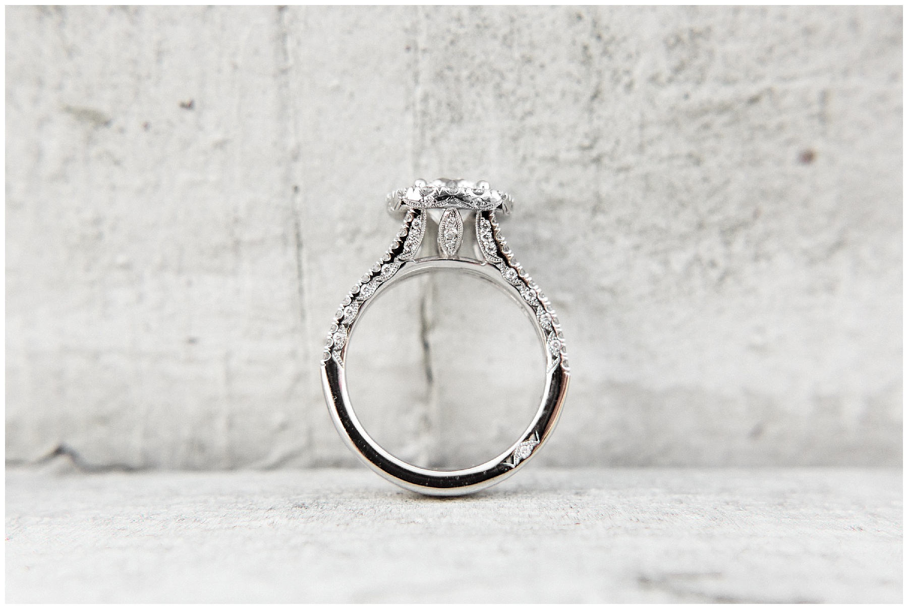 historic oakview park engagement session-historic oak- engagement session-tiffany l johnson photography_0043.jpg historic oakview park engagement session-historic oak- engagement session-tiffany l johnson photography_0043.jpg