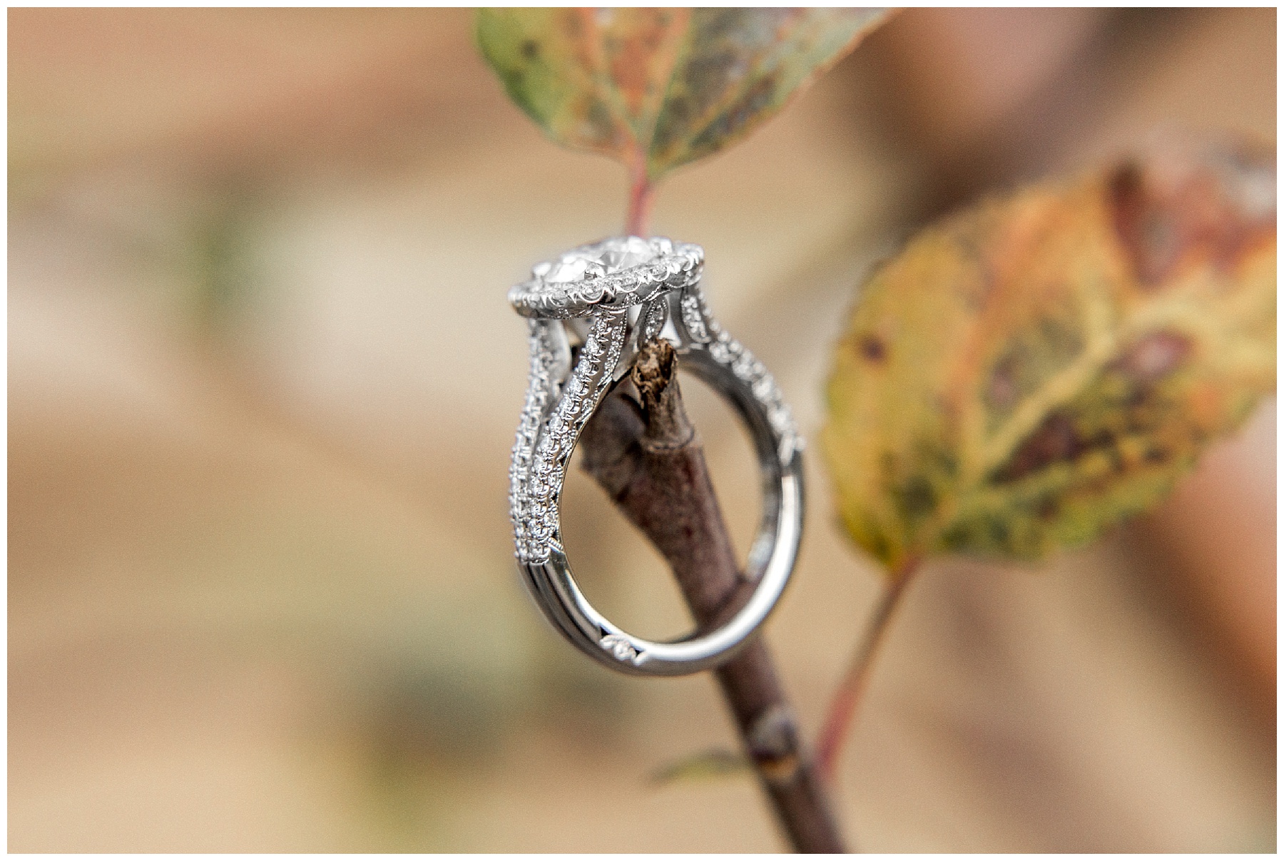 historic oakview park engagement session-historic oak- engagement session-tiffany l johnson photography_0046.jpg historic oakview park engagement session-historic oak- engagement session-tiffany l johnson photography_0046.jpg