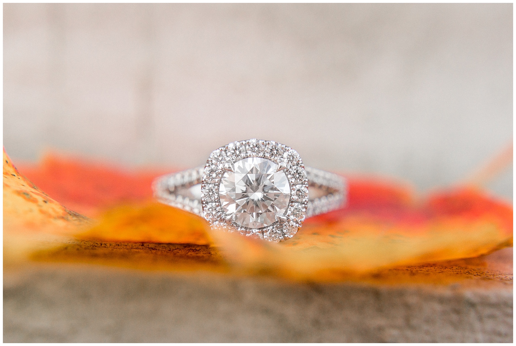 historic oakview park engagement session-historic oak- engagement session-tiffany l johnson photography_0049.jpg historic oakview park engagement session-historic oak- engagement session-tiffany l johnson photography_0049.jpg