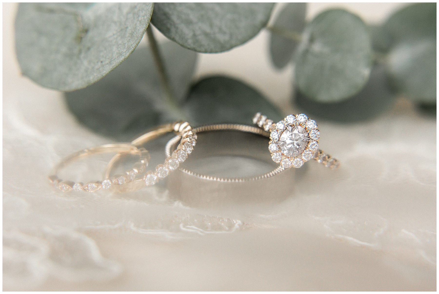 may lew farm-benjamin maylewis farm-greenville wedding-tiffany l johnson photography weddings_0003.jpg may lew farm-benjamin maylewis farm-greenville wedding-tiffany l johnson photography weddings_0003.jpg