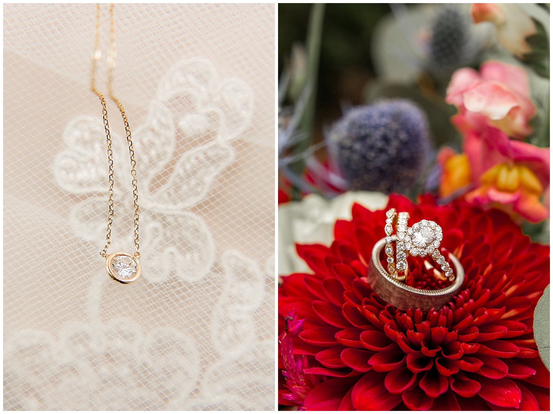 may lew farm-benjamin maylewis farm-greenville wedding-tiffany l johnson photography weddings_0004.jpg may lew farm-benjamin maylewis farm-greenville wedding-tiffany l johnson photography weddings_0004.jpg