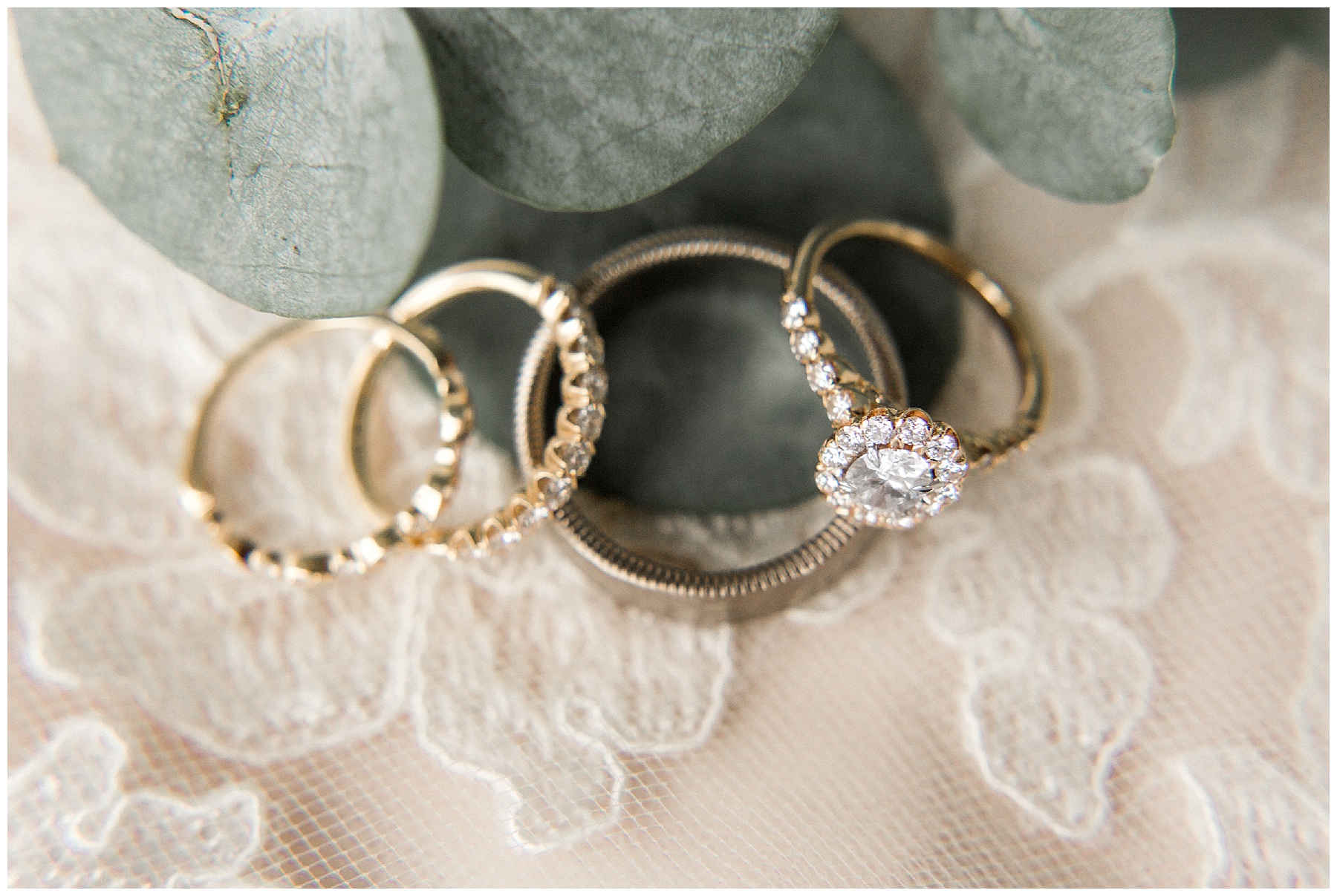 may lew farm-benjamin maylewis farm-greenville wedding-tiffany l johnson photography weddings_0009.jpg may lew farm-benjamin maylewis farm-greenville wedding-tiffany l johnson photography weddings_0009.jpg