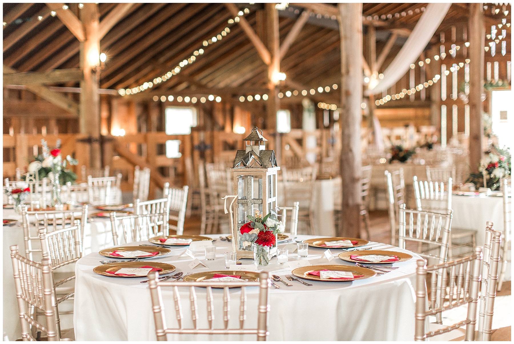 may lew farm-benjamin maylewis farm-greenville wedding-tiffany l johnson photography weddings_0164.jpg may lew farm-benjamin maylewis farm-greenville wedding-tiffany l johnson photography weddings_0164.jpg