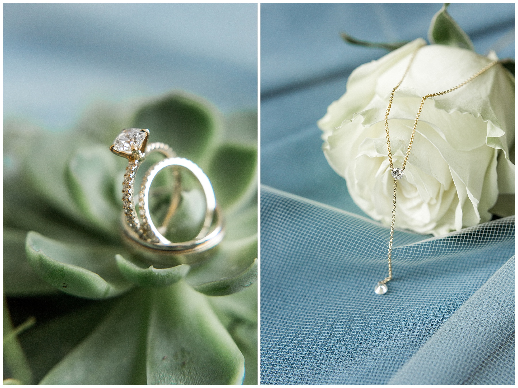 rocky mount nc wedding photographer-tiffany l johnson photography_0003.jpg rocky mount nc wedding photographer-tiffany l johnson photography_0003.jpg