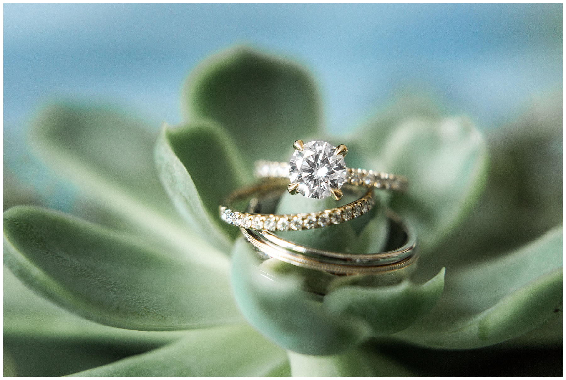 rocky mount nc wedding photographer-tiffany l johnson photography_0011.jpg rocky mount nc wedding photographer-tiffany l johnson photography_0011.jpg