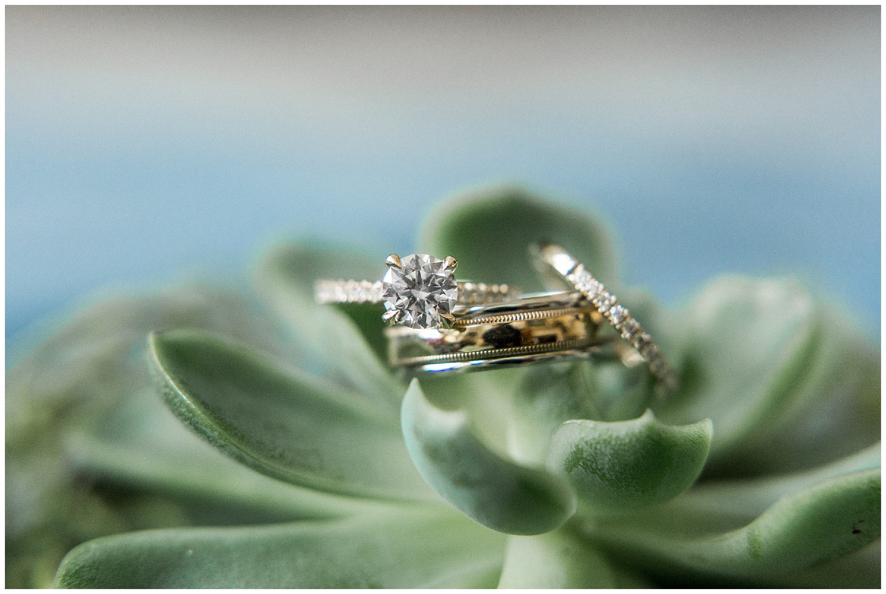 rocky mount nc wedding photographer-tiffany l johnson photography_0018.jpg rocky mount nc wedding photographer-tiffany l johnson photography_0018.jpg