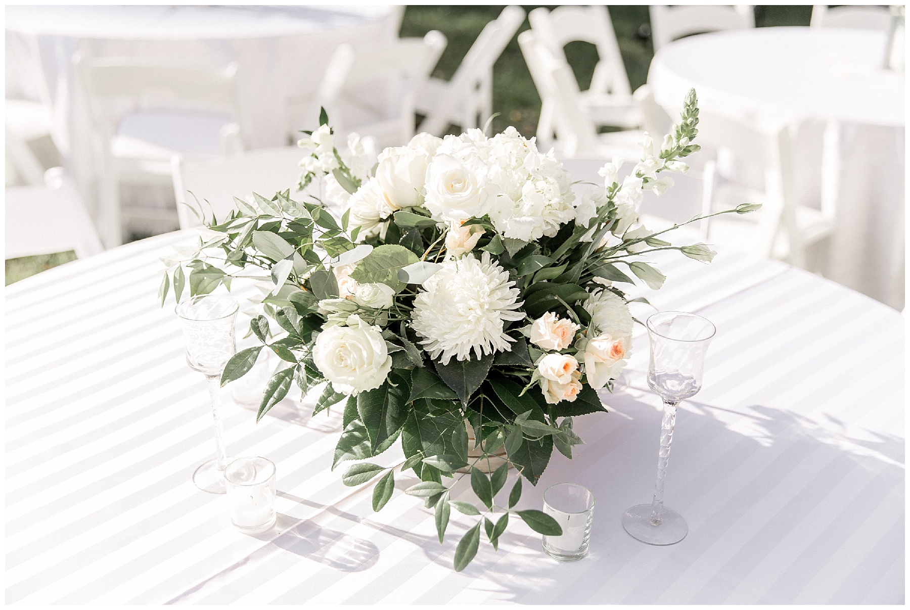 rocky mount nc wedding photographer-tiffany l johnson photography_0135.jpg rocky mount nc wedding photographer-tiffany l johnson photography_0135.jpg