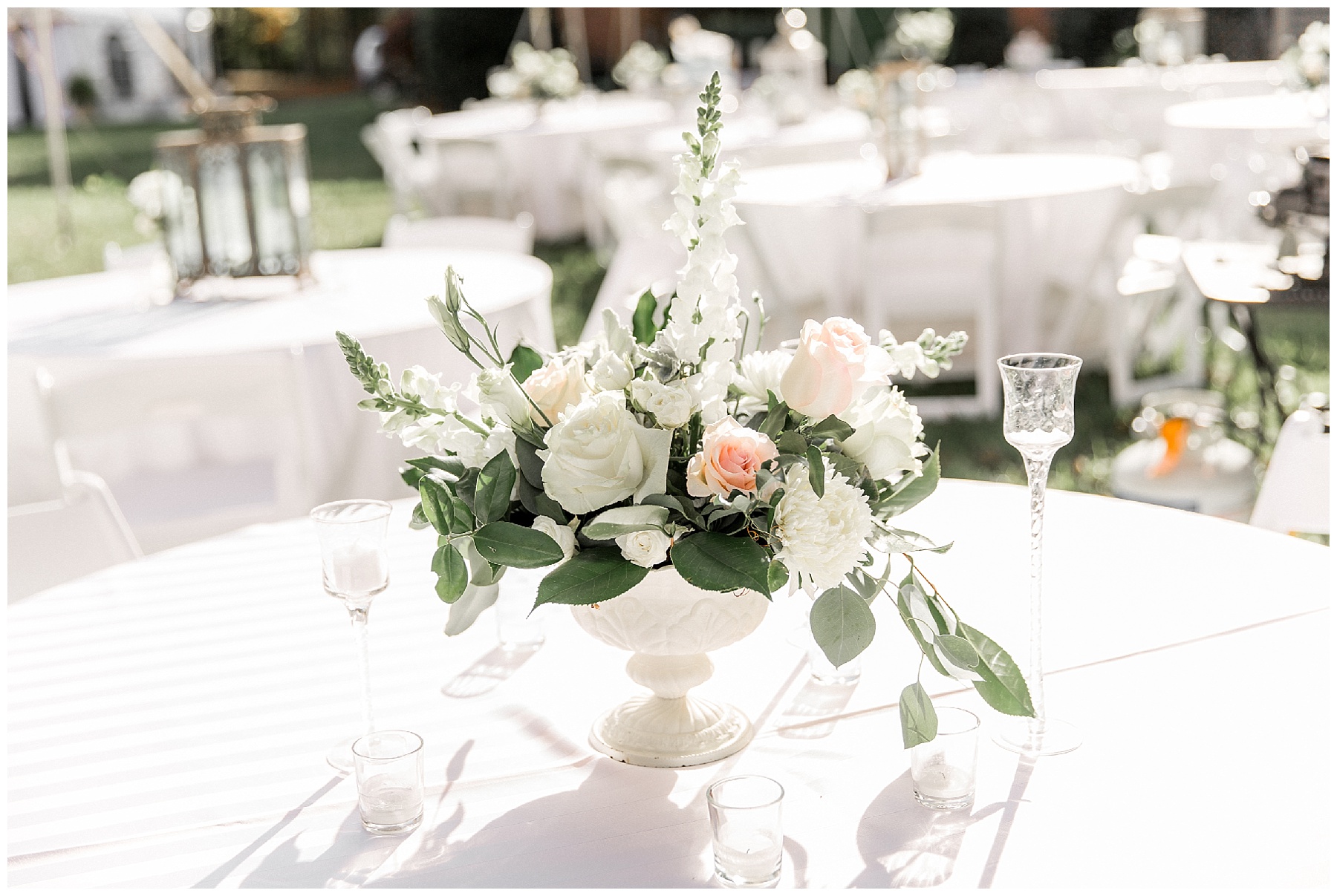 rocky mount nc wedding photographer-tiffany l johnson photography_0137.jpg rocky mount nc wedding photographer-tiffany l johnson photography_0137.jpg