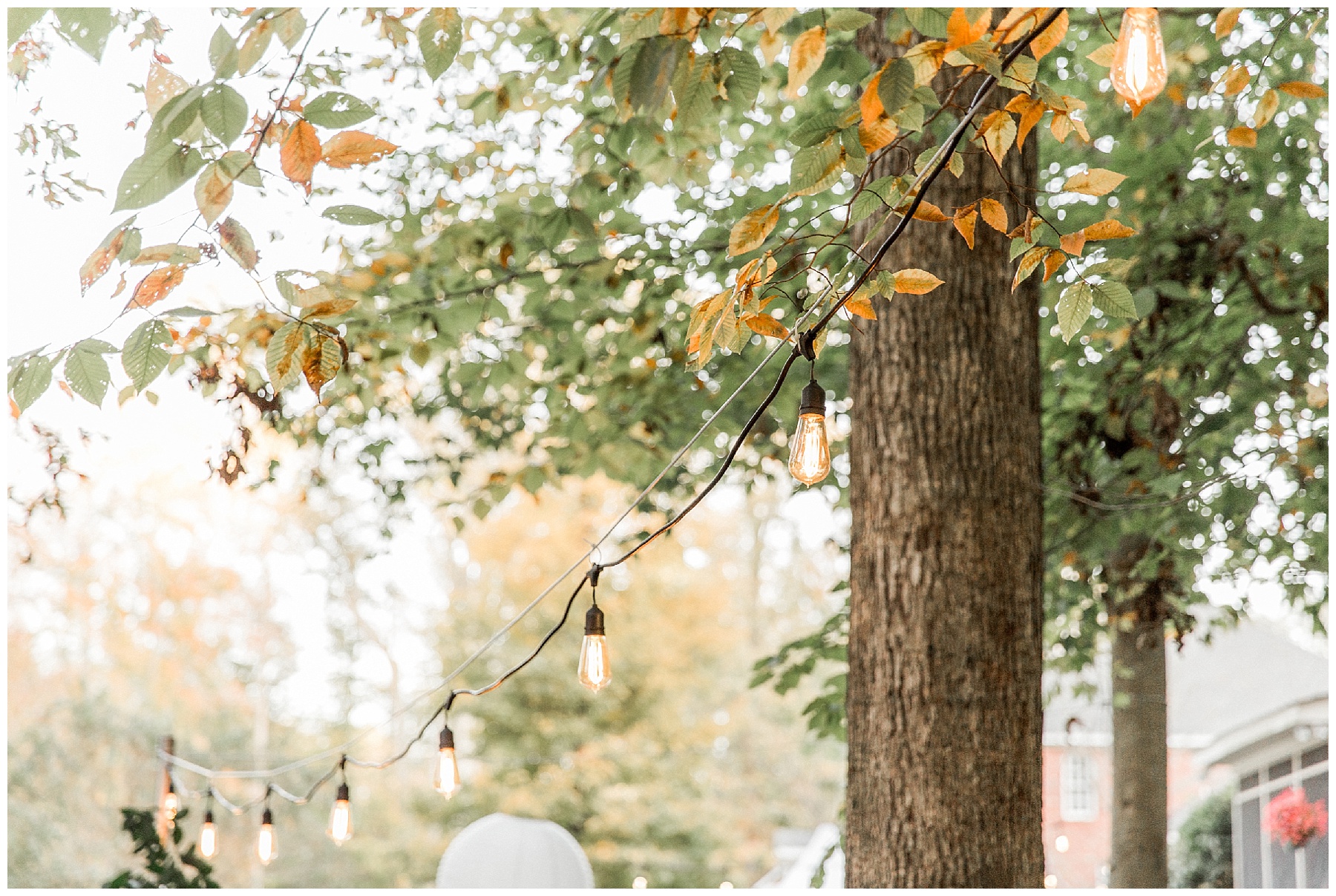 rocky mount nc wedding photographer-tiffany l johnson photography_0141.jpg rocky mount nc wedding photographer-tiffany l johnson photography_0141.jpg