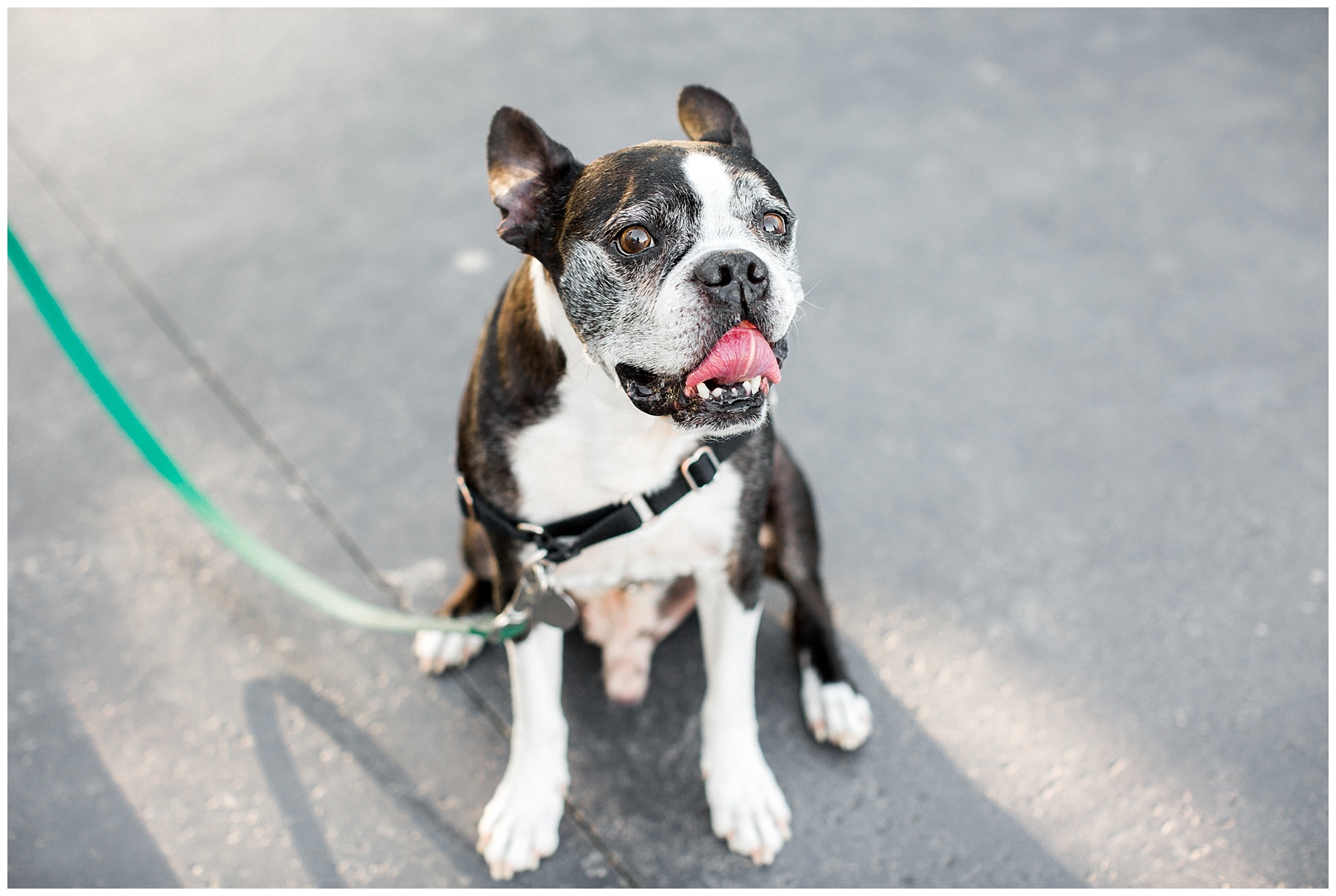 best of 2017 engagements-tiffany l johnson photography-engagement session-raleigh nc_0065.jpg