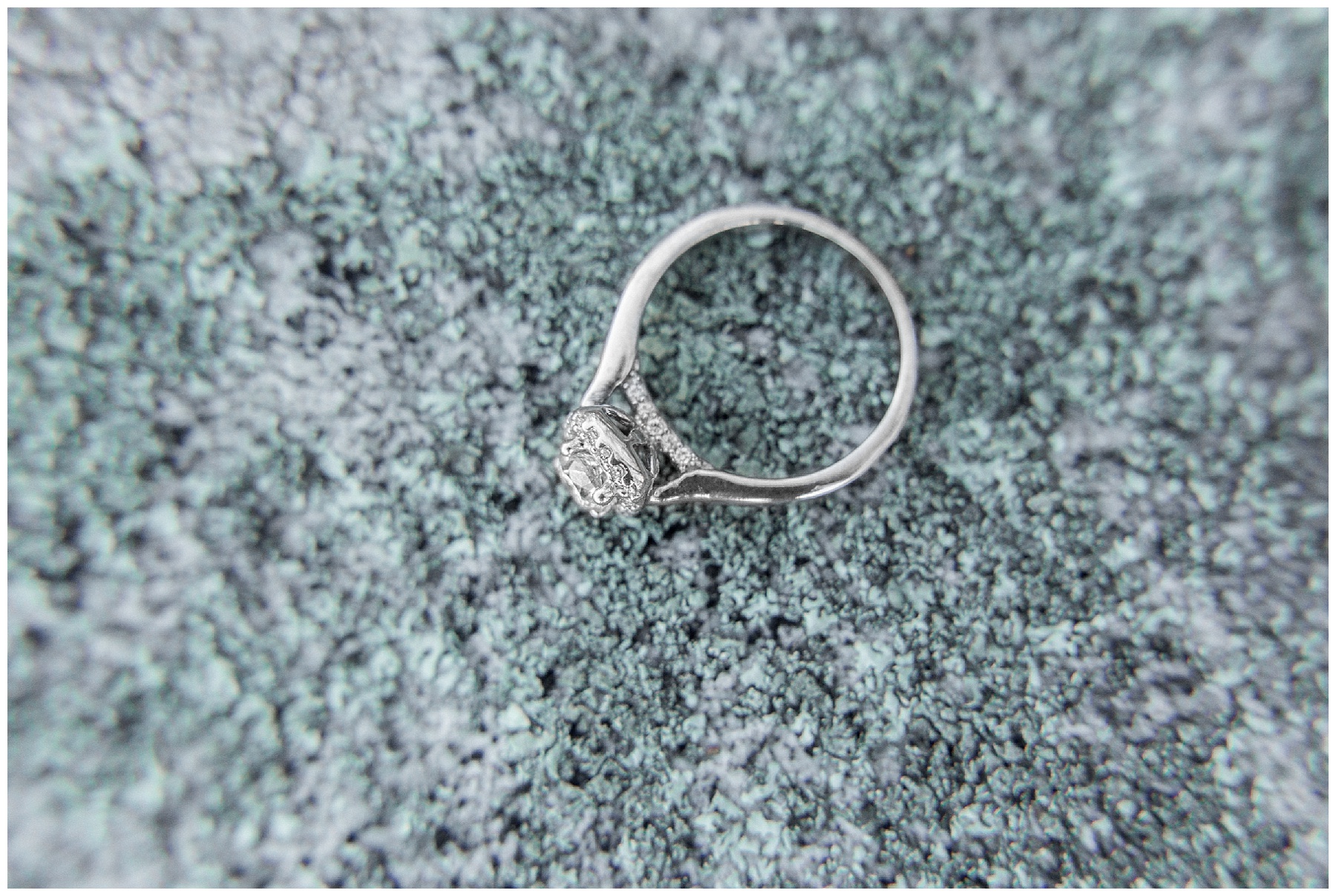 mountain engagement session-epic engagement session-mountain session-tiffany l johnson photography_0093.jpg mountain engagement session-epic engagement session-mountain session-tiffany l johnson photography_0093.jpg