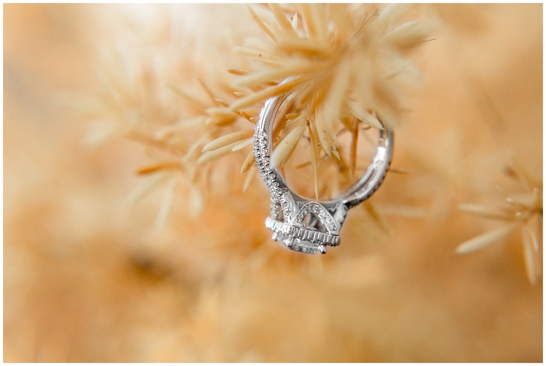 Farm NC Engagement Session - Wilson NC -tiffany l johnson photography_0002.jpg