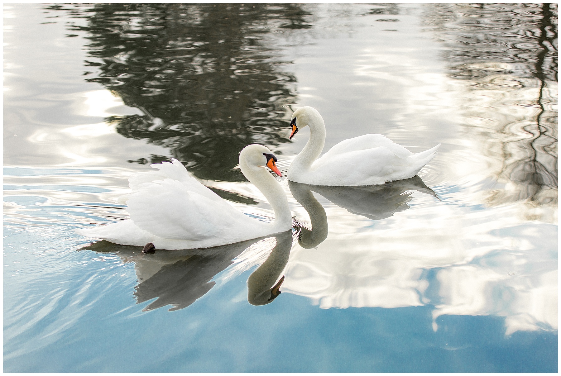 Rose Hill Plantation Bridal Session-Nashville NC-Rose Hill-Tiffany L Johnson Photography_0024.jpg