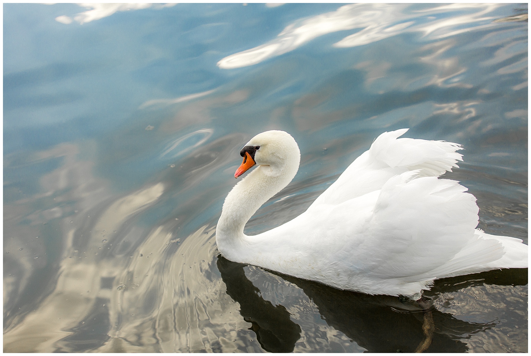 Rose Hill Plantation Bridal Session-Nashville NC-Rose Hill-Tiffany L Johnson Photography_0036.jpg