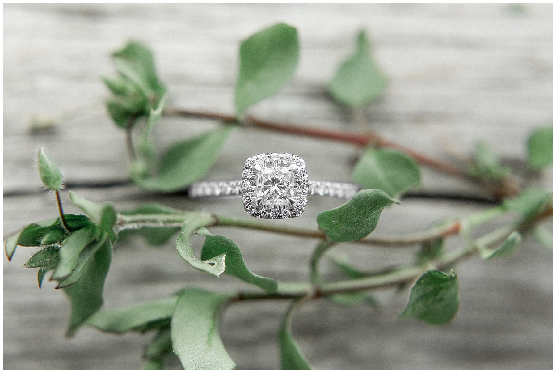 raleigh north carolina wedding photographer-tiffany l johnson photography_0003.jpg