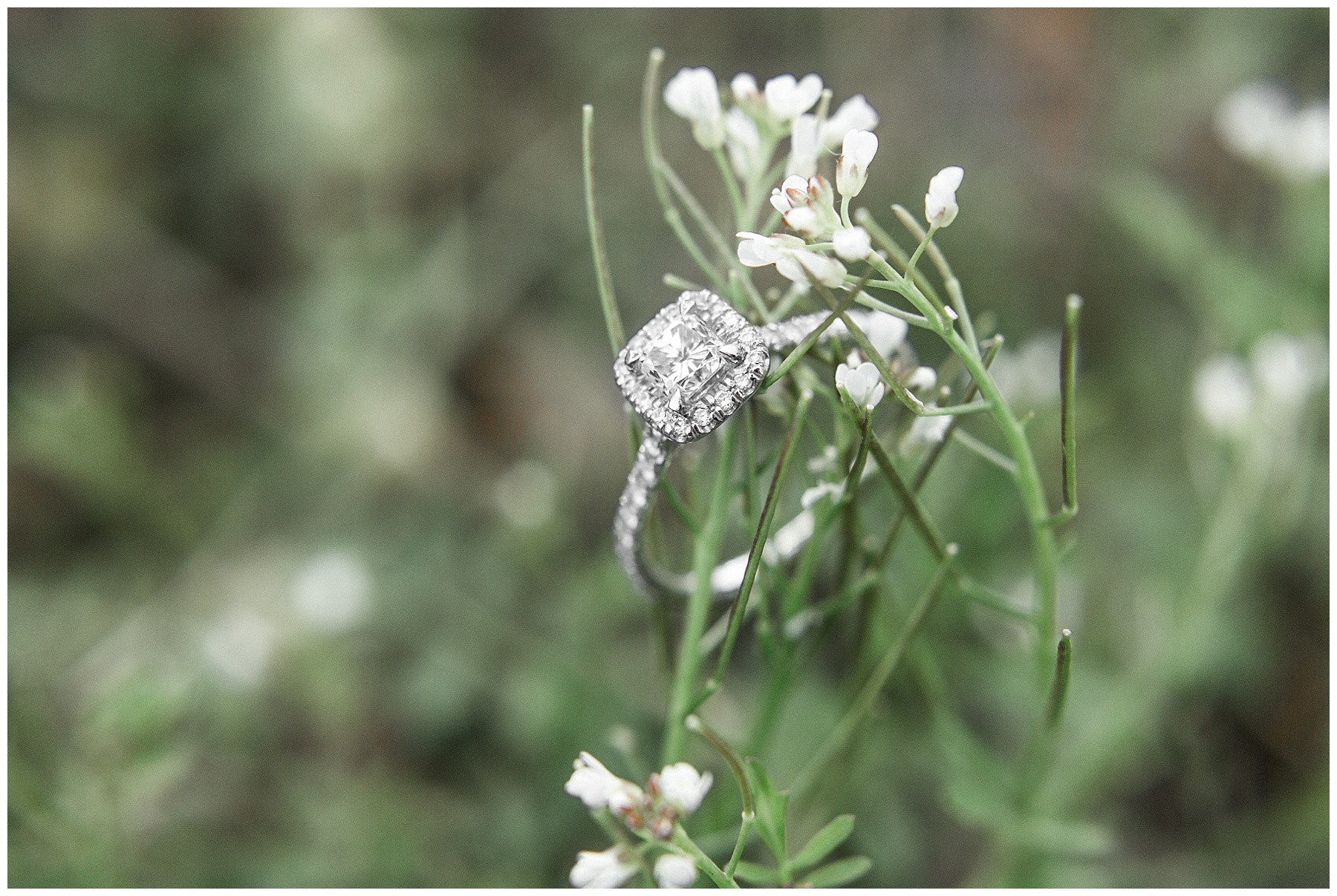 raleigh north carolina wedding photographer-tiffany l johnson photography_0009.jpg