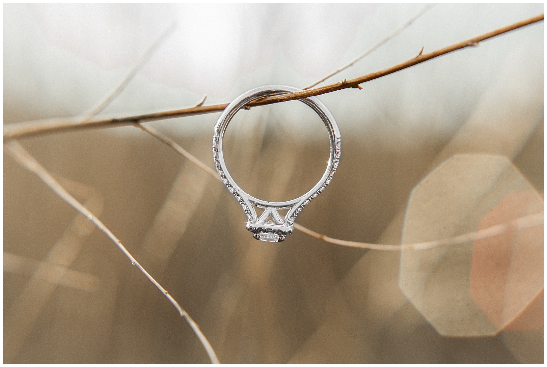 raleigh north carolina wedding photographer-tiffany l johnson photography_0013.jpg