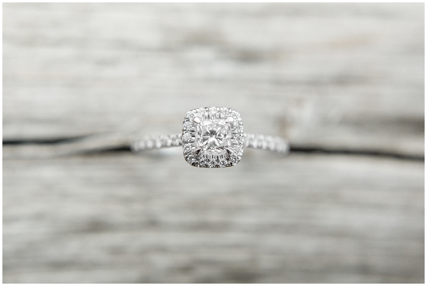 raleigh north carolina wedding photographer-tiffany l johnson photography_0017.jpg