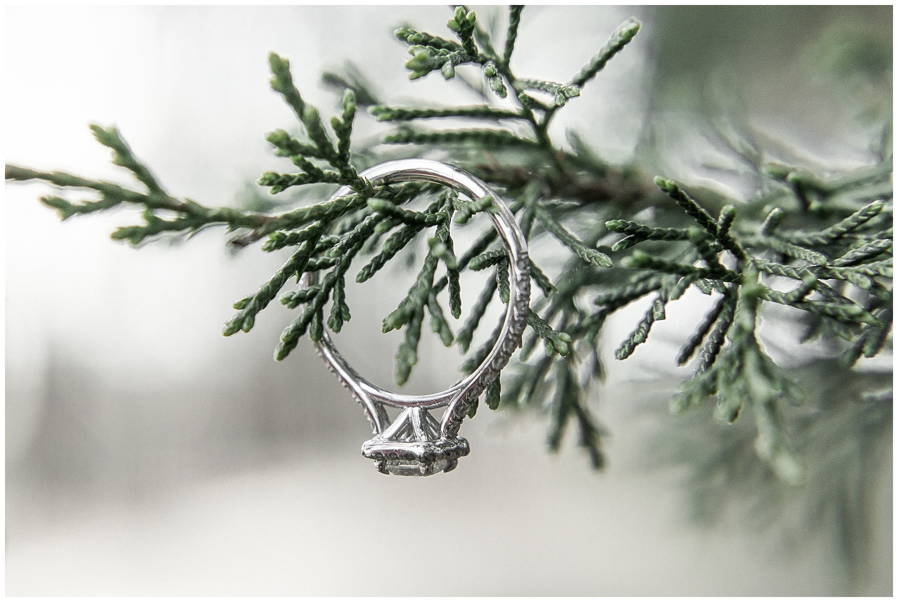 raleigh north carolina wedding photographer-tiffany l johnson photography_0045.jpg