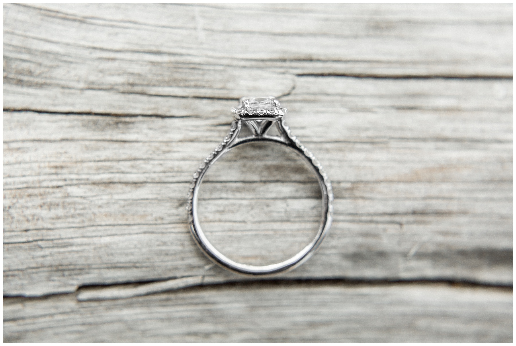 raleigh north carolina wedding photographer-tiffany l johnson photography_0058.jpg