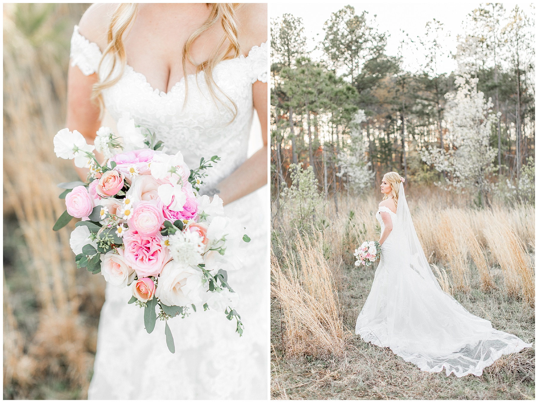 raleigh wedding photographer - bridal session - tiffany l johnson photography_0009.jpg raleigh wedding photographer - bridal session - tiffany l johnson photography_0009.jpg