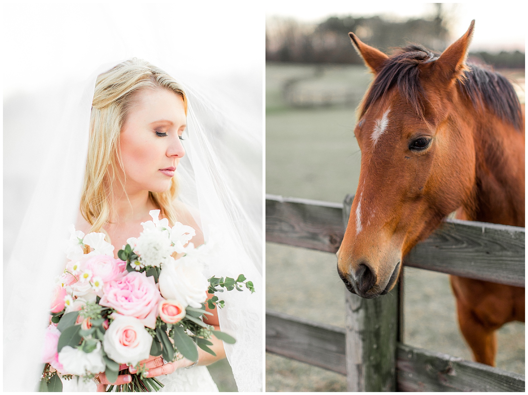 raleigh wedding photographer - bridal session - tiffany l johnson photography_0040.jpg raleigh wedding photographer - bridal session - tiffany l johnson photography_0040.jpg