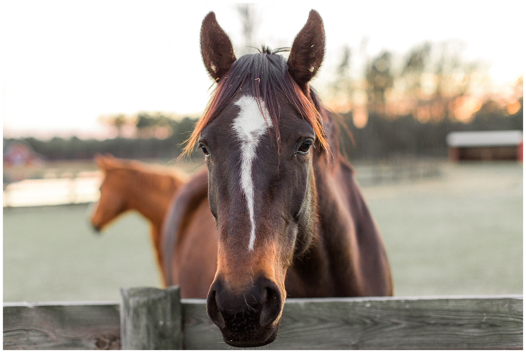 raleigh wedding photographer - bridal session - tiffany l johnson photography_0041.jpg raleigh wedding photographer - bridal session - tiffany l johnson photography_0041.jpg